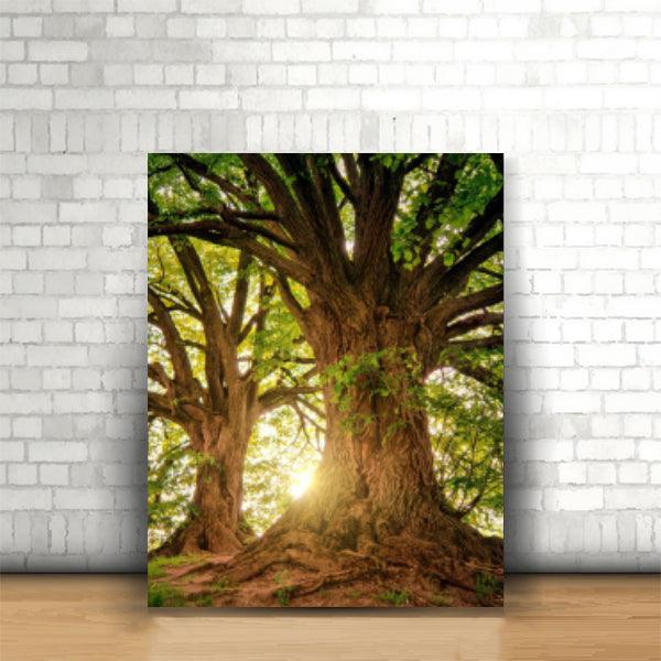 Tablou Beautiful Old Trees - Dimensiune 30x40 cm - Printery
